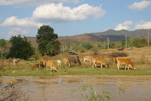 0831 Pai.JPG